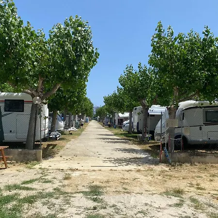 Adriatico Campsite