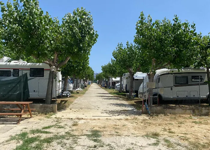 Adriatico Camping